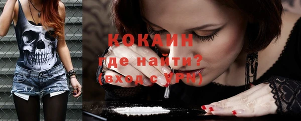 прущие грибы Каменка