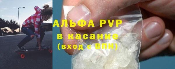 прущие грибы Каменка