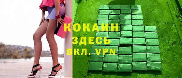 дмт Инсар