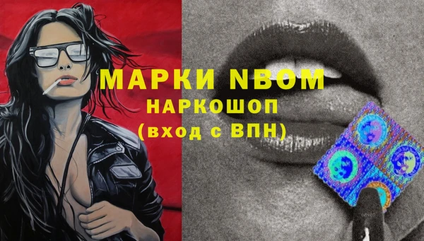 прущие грибы Каменка