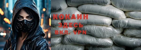прущие грибы Каменка