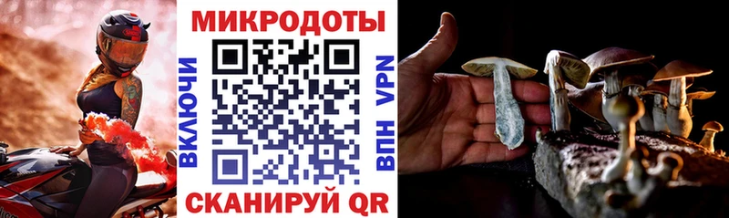 Галлюциногенные грибы MAGIC MUSHROOMS  Медвежьегорск 