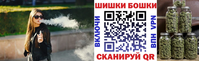 где купить наркоту  Медвежьегорск  Каннабис ГИДРОПОН 